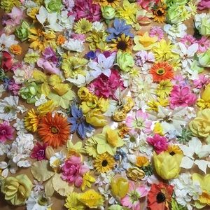 Meet your Posher, Sandra